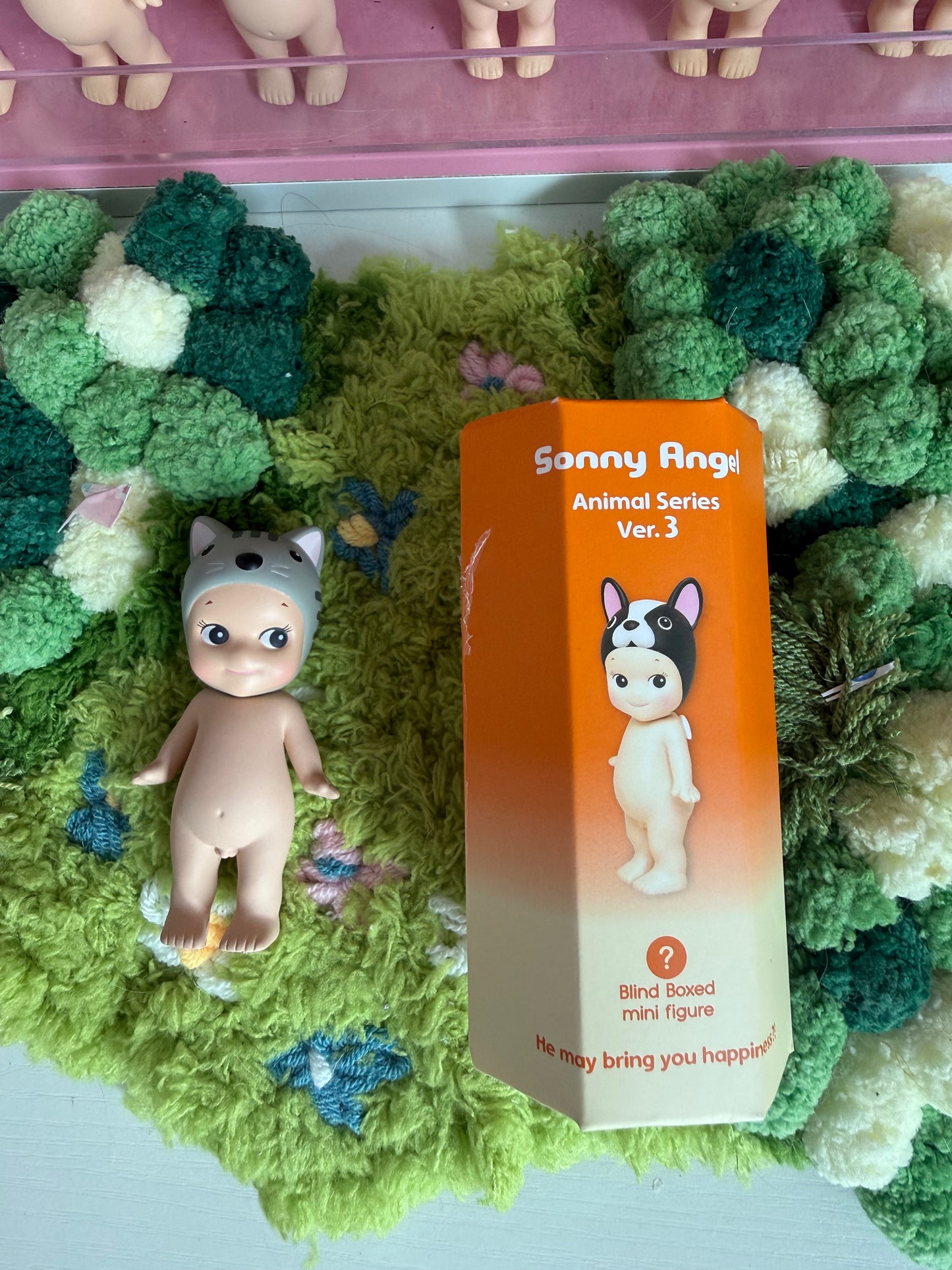 sonny angel opened american short hair cat