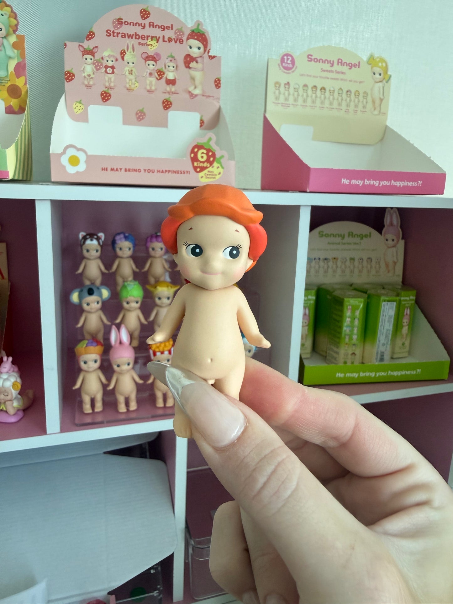 sonny angel opened poppy flower series